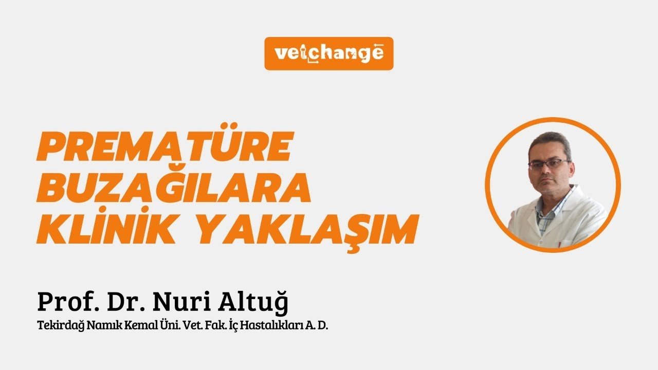 Prematüre Buzağılara Klinik Yaklaşım ''Prof. Dr. Nuri Altuğ''